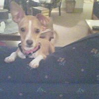 Carol Geiger Photo 3