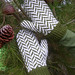 Joann White Photo 22