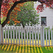 Victoria Saunders Photo 37