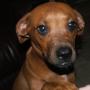 Miranda Crosby Photo 17