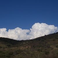 Martha Hedrick Photo 4