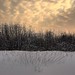 Hope Boudreau Photo 11