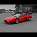 Matthew Ferrari Photo 8