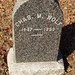 Charles Wolf Photo 54