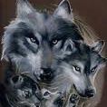 Dena Wolf Photo 5