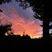 Diane Boudreau Photo 15