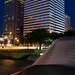 Henry Stern Photo 36
