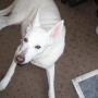 Crystal Thacker Photo 25