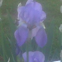 Angie Booker Photo 19