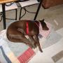 Wanda Horton Photo 24
