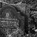 Carl Grange Photo 11