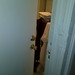 Dale Clements Photo 16