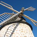 Marguerite Mills Photo 19