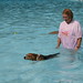 Laurie Bailey Photo 16