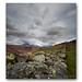 Roman Gray Photo 12