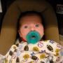 Suzanne Maynard Photo 20