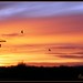 Dawn Edwards Photo 34