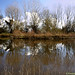 Paul Do Photo 27