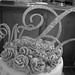 Diane Grove Photo 20