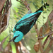 Richard Comstock Photo 19