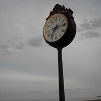 Donna Parks Photo 2