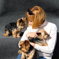 Janet Dwyer Photo 21
