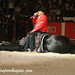 Joan Gutierrez Photo 16