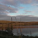 James Forest Photo 12