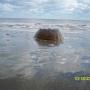 Jodi Ray Photo 28