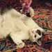 Dot Rowe Photo 12