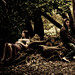 Rebecca Boys Photo 8