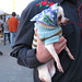 Kathy Sowa Photo 10