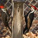 Jerry Downs Photo 2