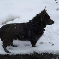 Judy Raskin Photo 3