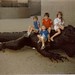 Paul Mattson Photo 25