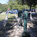 Nancy Deland Photo 11