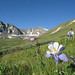 Mark Mccauley Photo 9