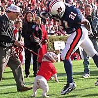 Jimmy Rawls Photo 11