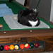 Rod Pool Photo 5