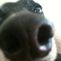 Debra Drummond Photo 11