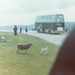 Robin Blaylock Photo 16