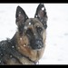 Brandi Snow Photo 13