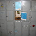 Shelia Gray Photo 13