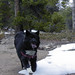 Kelly Pepper Photo 24