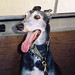 Cynthia Hock Photo 9