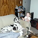 Lucy Kennedy Photo 12