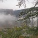 Virginia Mashburn Photo 5