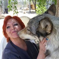 Susan Wacker Photo 16