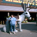 Rachel Walls Photo 15