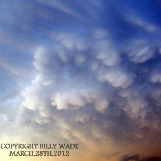 Billy Wade Photo 35